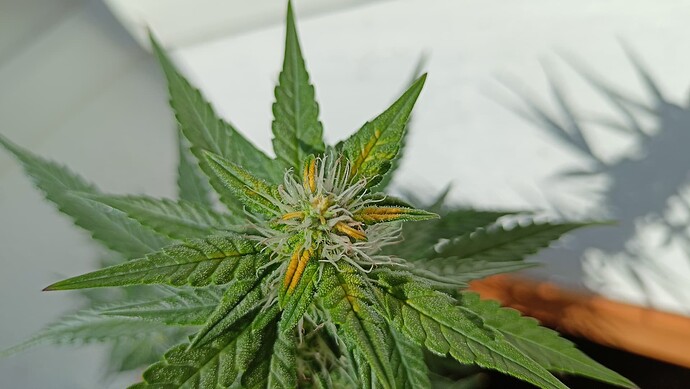 Growreport Bild 11