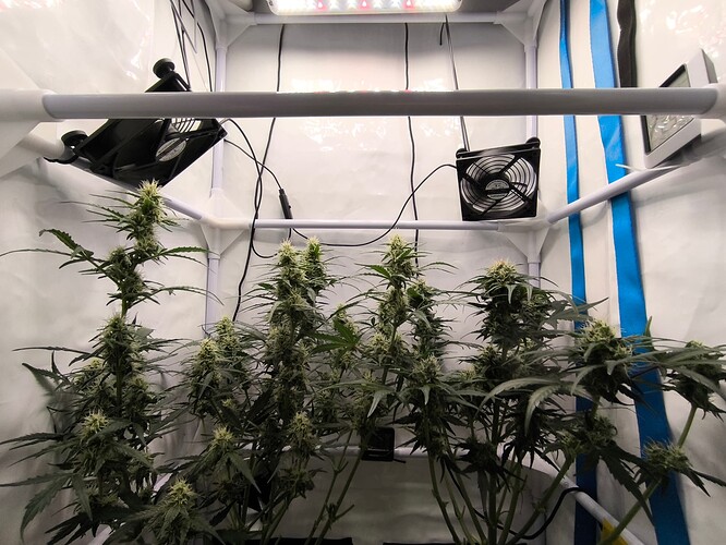 Growreport Bild 14