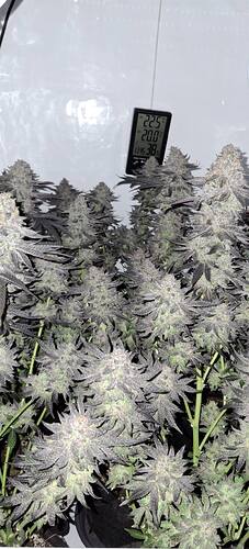 Growreport Bild 14