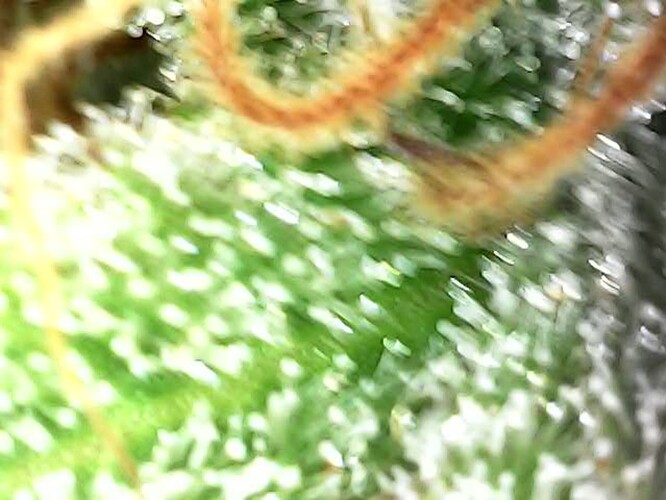 Growreport Bild 14