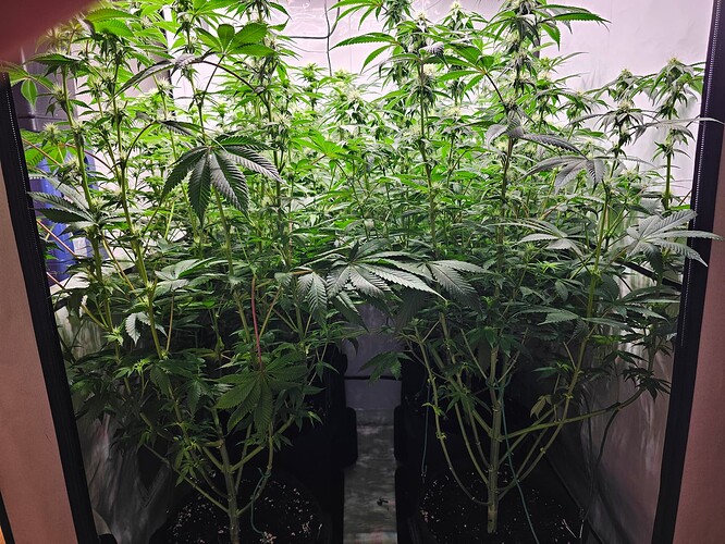 Growreport Bild 4