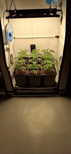Growreport Bild 13