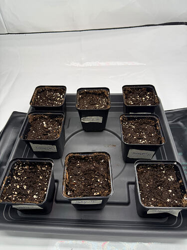 Growreport Bild 17
