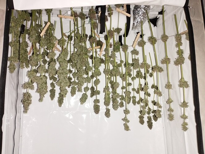 Growreport Bild 33