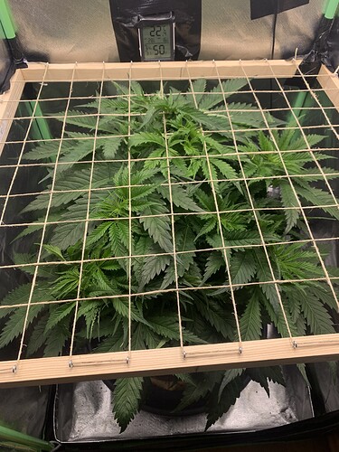 Growreport Bild 7