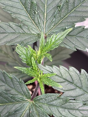 Growreport Bild 15