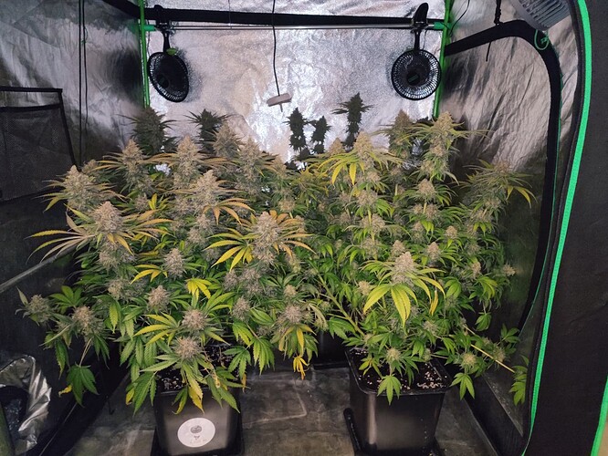 Growreport Bild 18