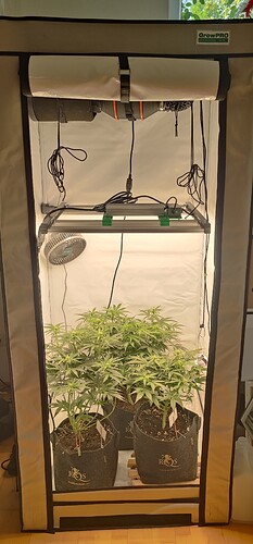 IMG_20240825_110234