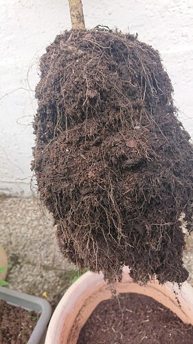 Growreport Bild 16