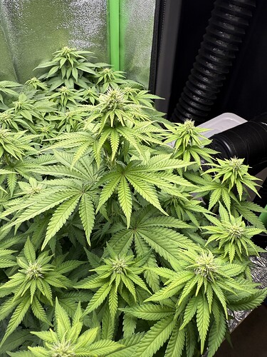 Growreport Bild 24