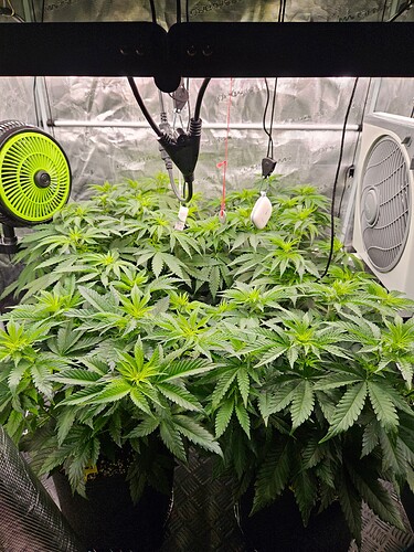 Growreport Bild 16