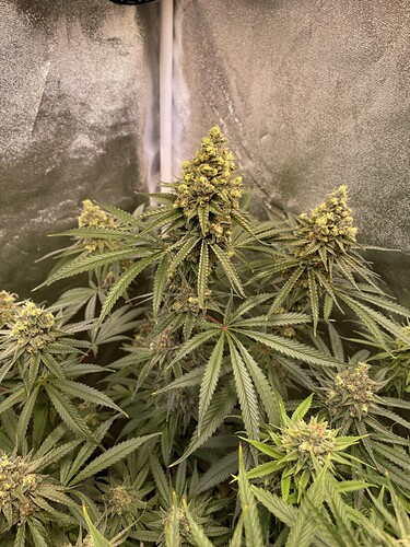 Growreport Bild 13