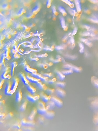 Growreport Bild 12