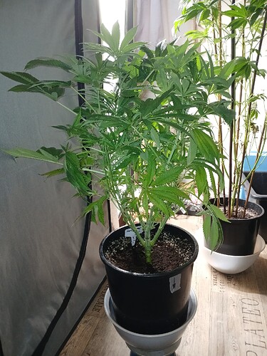 Growreport Bild 8