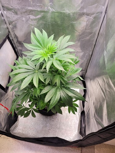 Growreport Bild 17