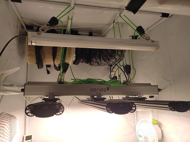 Growreport Bild 1