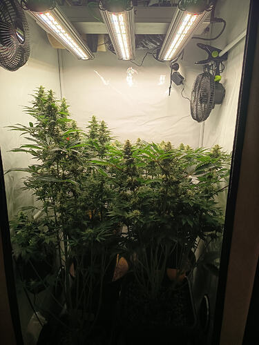 Growreport Bild 23