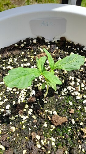 Growreport Bild 31