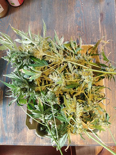 Growreport Bild 8