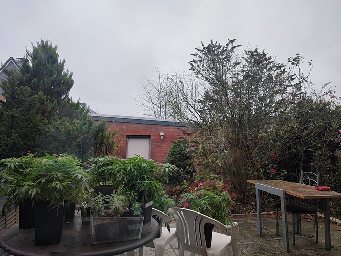 Growreport Bild 73