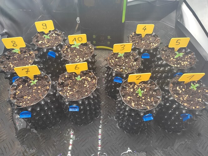 Growreport Bild 11