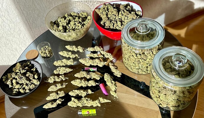 Growreport Bild 17