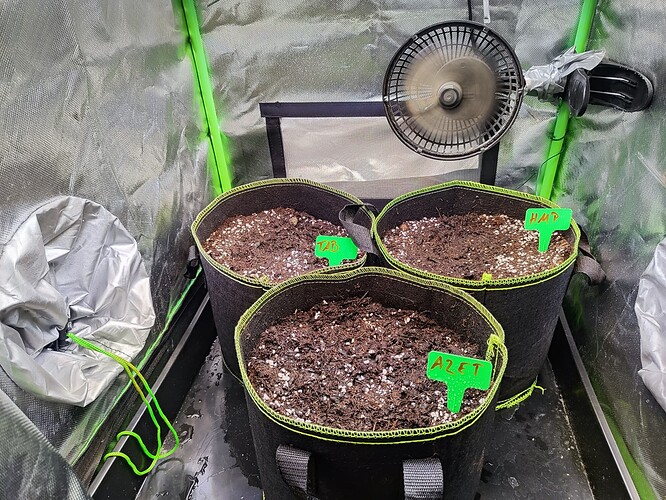 Growreport Bild 2
