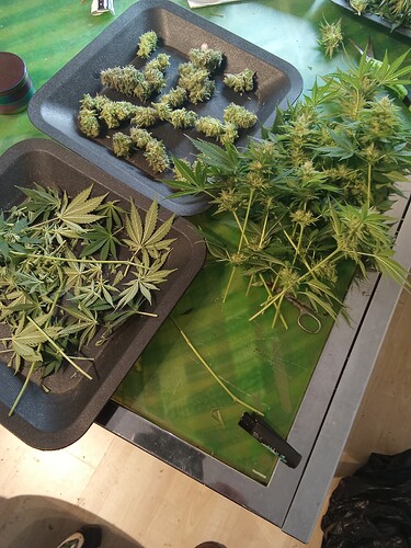 Growreport Bild 16