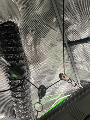 Growreport Bild 53