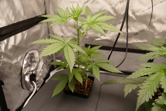 Growreport Bild 1