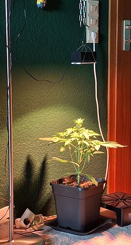 Growreport Bild 4