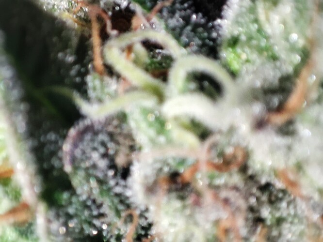 Growreport Bild 48