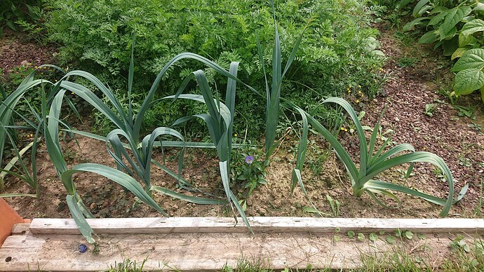 Growreport Bild 24