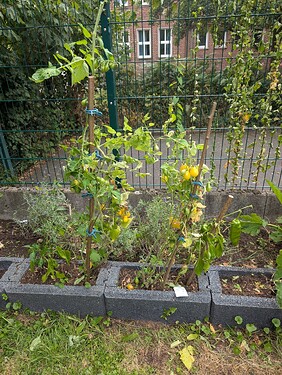 Growreport Bild 22