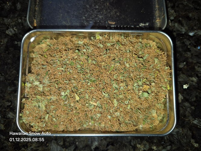 Growreport Bild 11