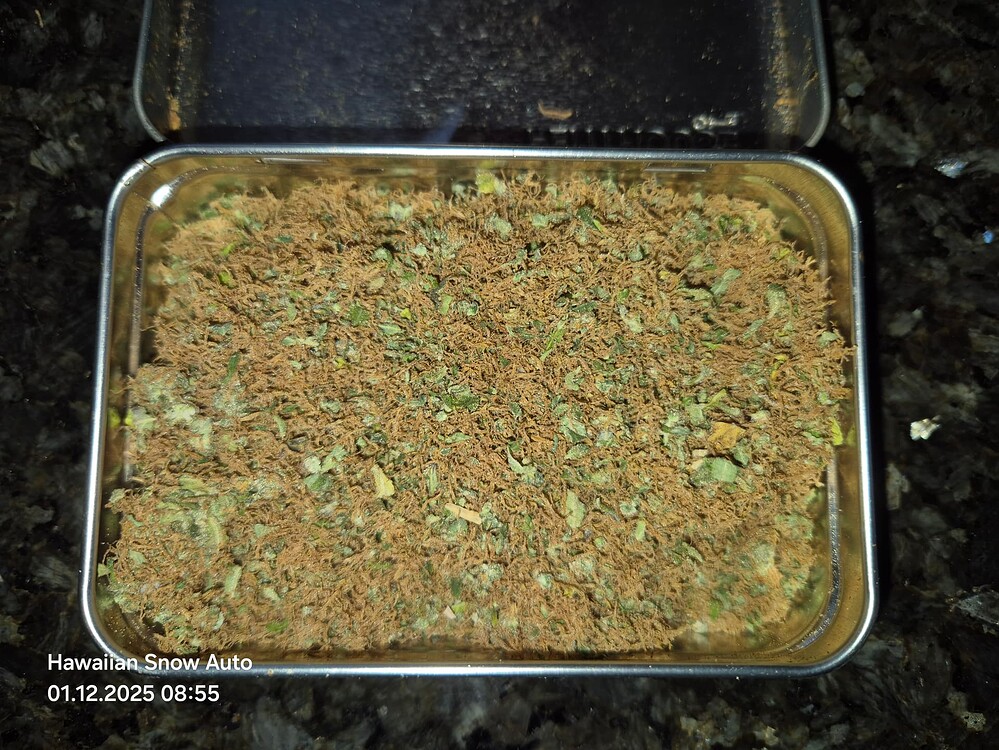 [BEENDET] Die Rache des Ostsee-Anrainers: 3 exotischere "Ganja Farmer"-Autos im Dachgeschoß