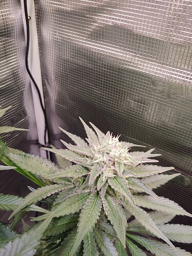 Growreport Bild 21