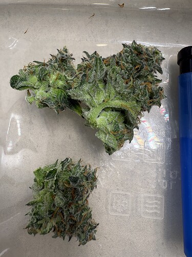 Growreport Bild 3