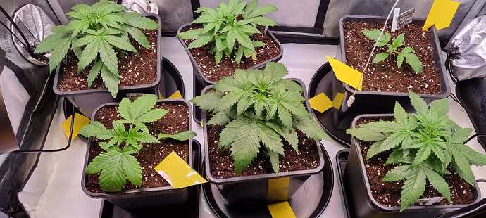 WhatsApp Image 2025-12-06 at 18.51.04