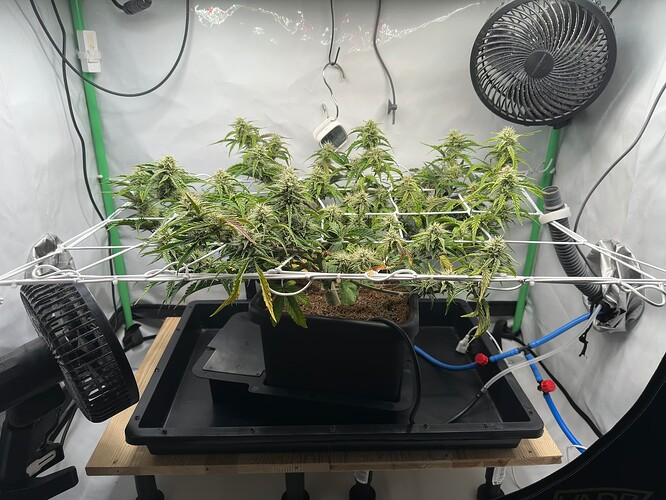 Growreport Bild 3