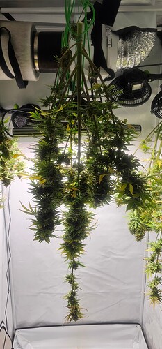Growreport Bild 12