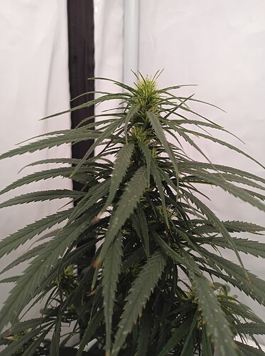 Growreport Bild 21