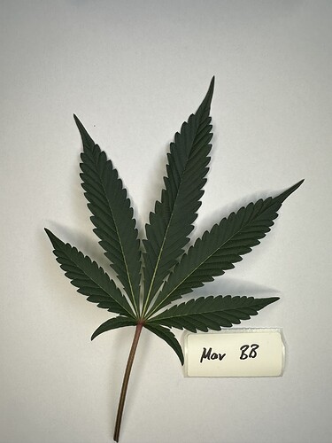 Growreport Bild 9