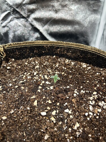 Growreport Bild 4
