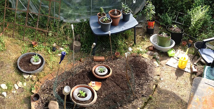 Growreport Bild 57