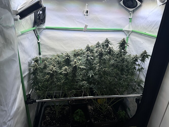 Growreport Bild 11