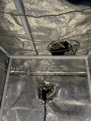Growreport Bild 2