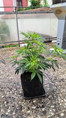 Growreport Bild 7