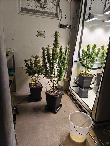 Growreport Bild 18