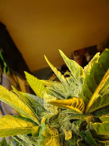 Growreport Bild 4